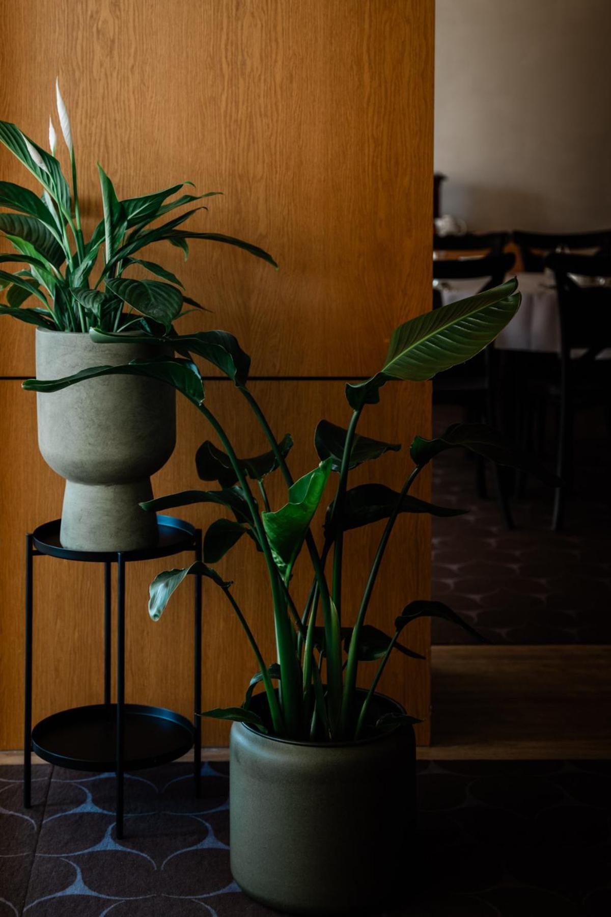 Hotel Wodnik Giżycko Kültér fotó